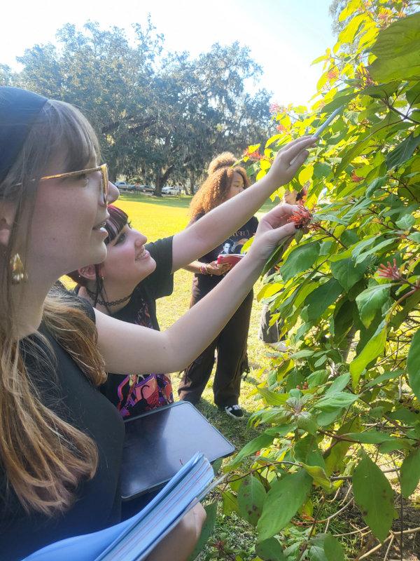 three young girls near a fruit tree reaching out to inspect the tree flowers