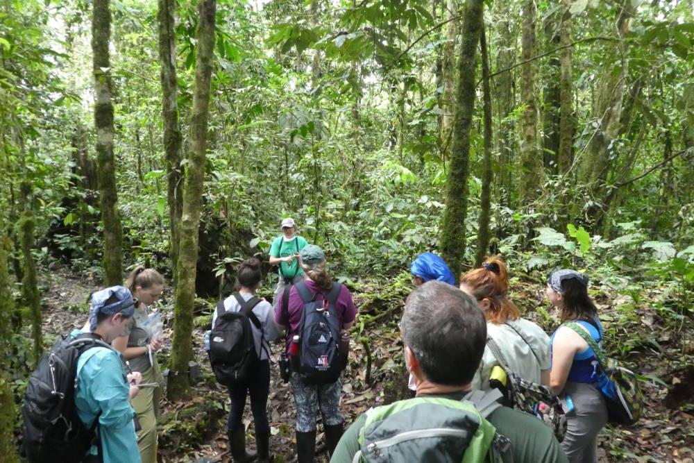 Professor explaining camera work to students in an Ecuador jungle.